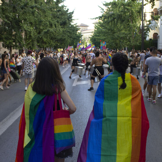 Dos personas de espaldas con la bandera LGBTIAQ+ en la manifestación del Orgullo